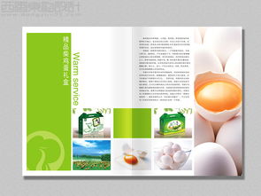 北京金凤祥云土特农产品标志包装画册全案设计图片 西风东韵